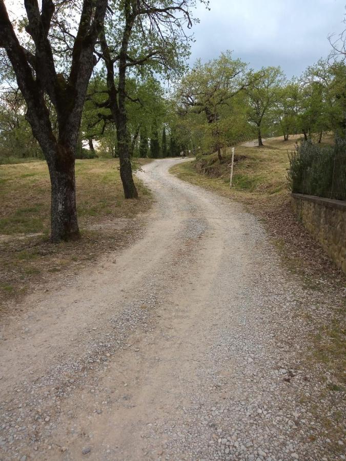 Agriturismo L'Incrociata Bucine Экстерьер фото